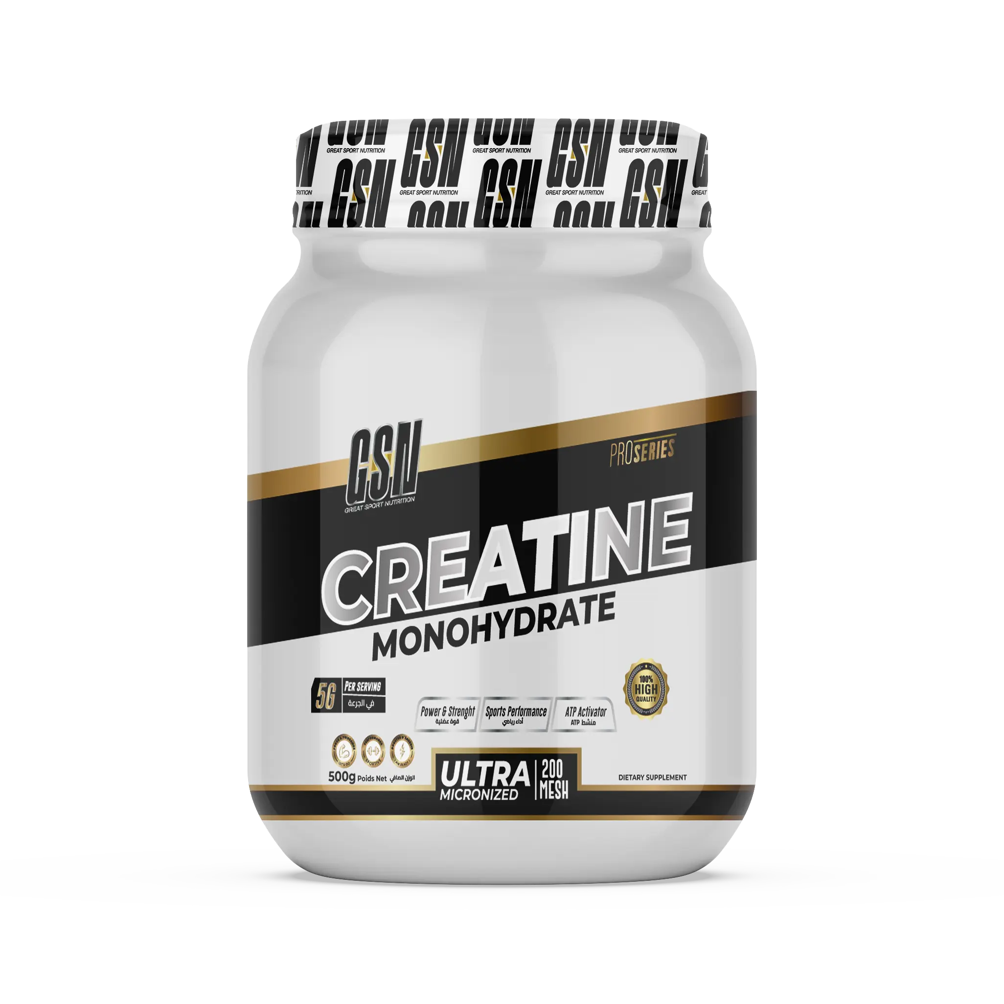 GSN CREATINE  500GR